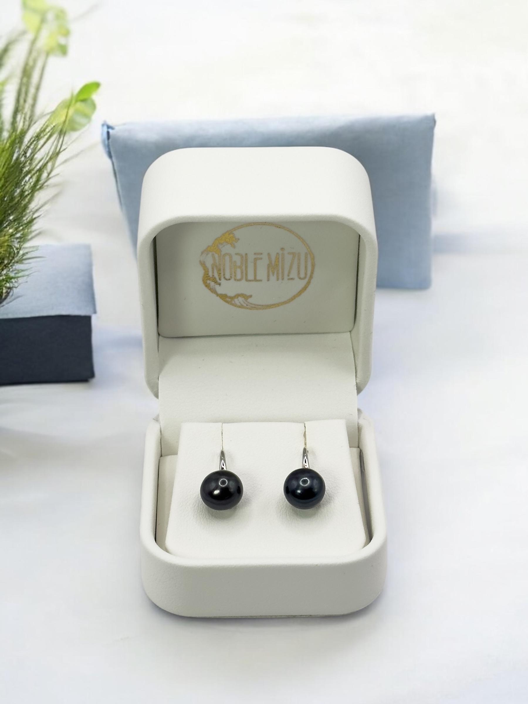 8 – 9 mm Black Pearl Stainless Hook Earrings